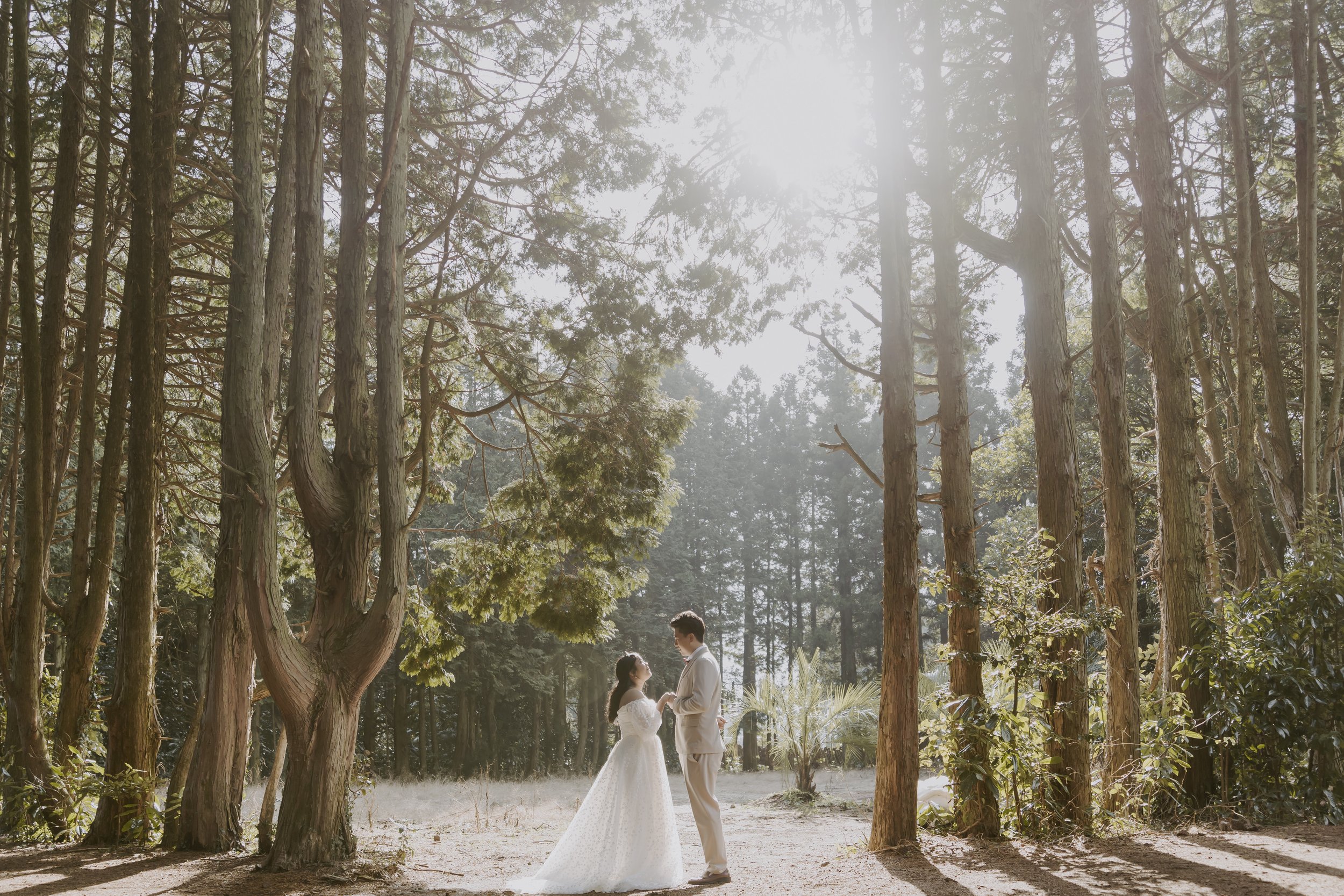 A Korean Wedding Photoshoot on Jeju Island