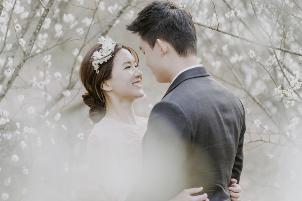 A couple embracing in a blossoming tree during the spring season in Korea.