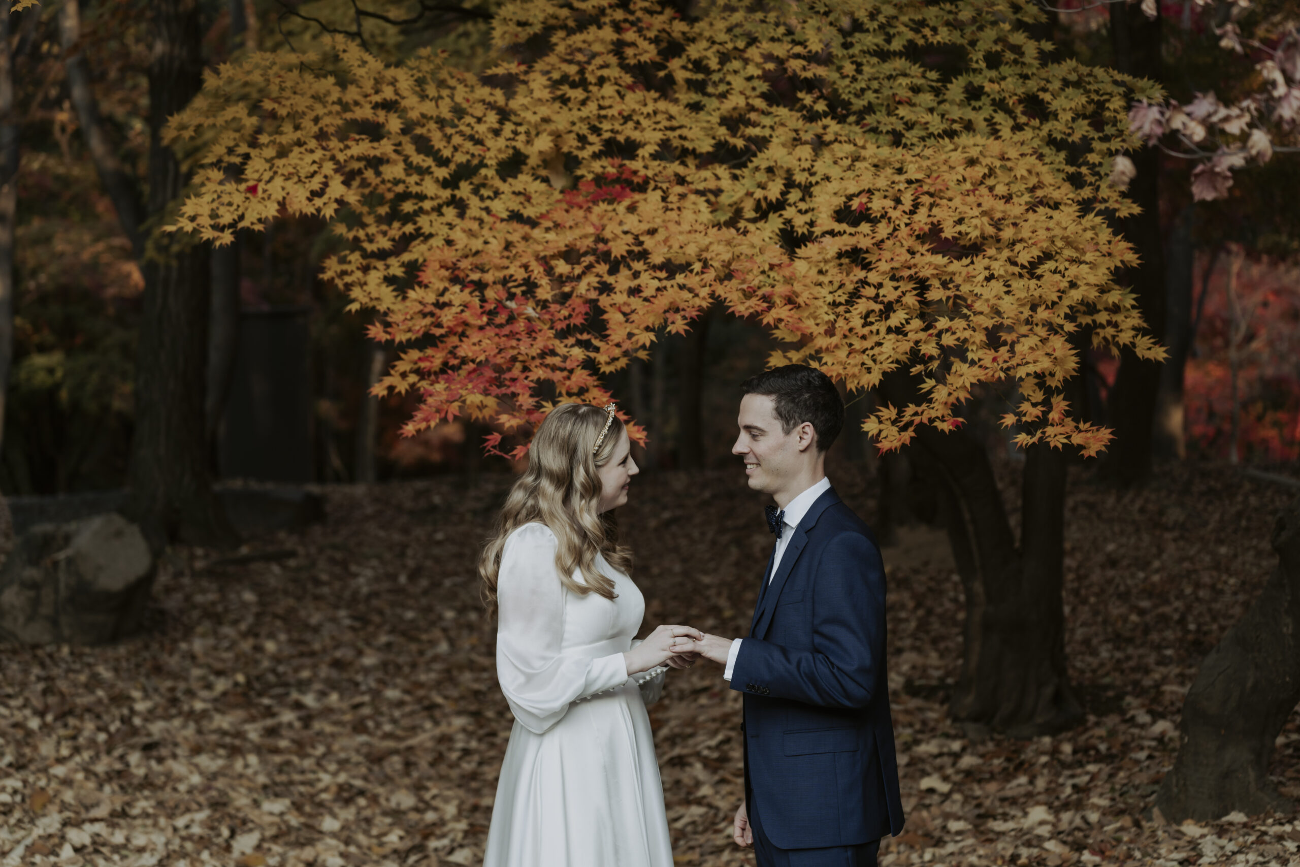 A bride and groom standing in front of a fall tree in Korea.