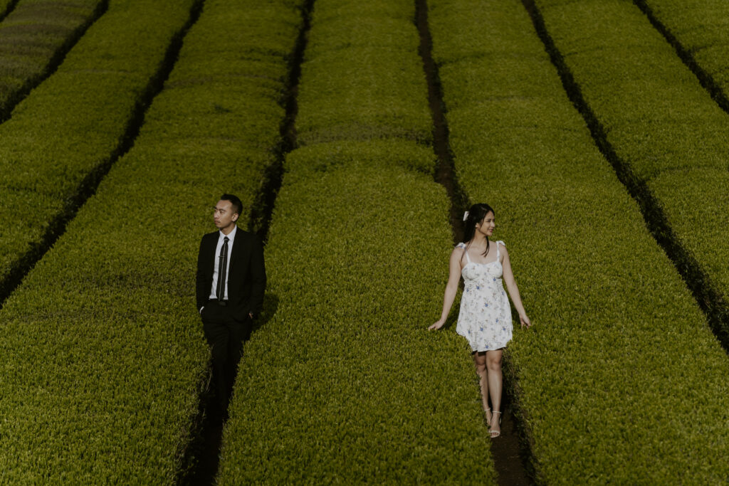 A man and woman walking through a tea plantation during the spring season.