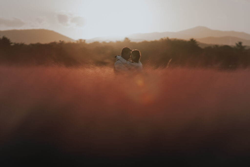 A couple embracing in a pink muhly field at sunrise in Korea.