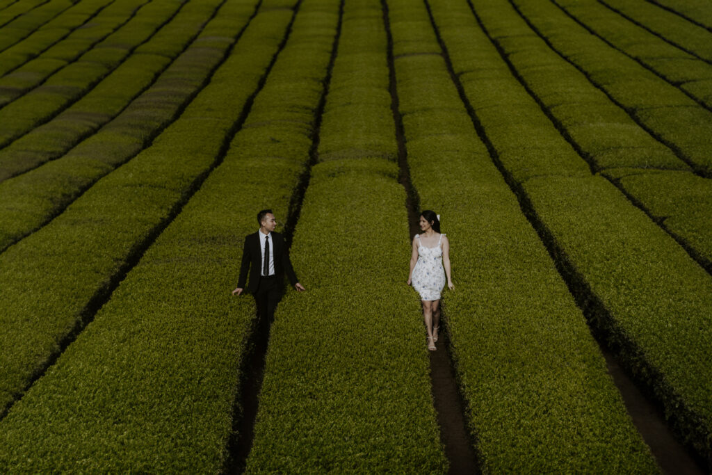 Couple look at each other in a tea field