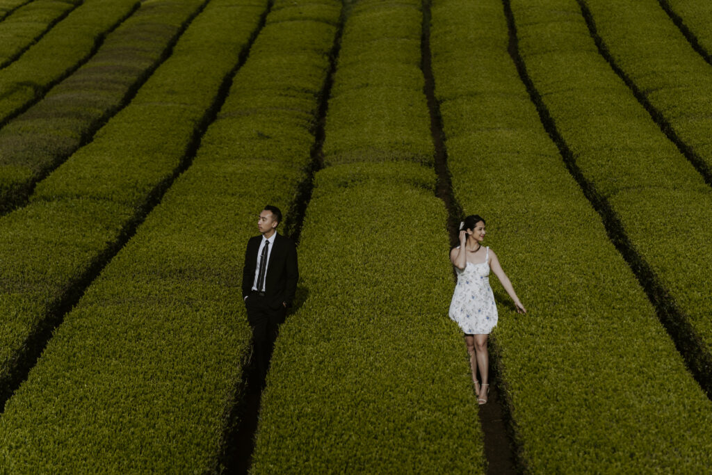 A man and woman posing through a tea field.