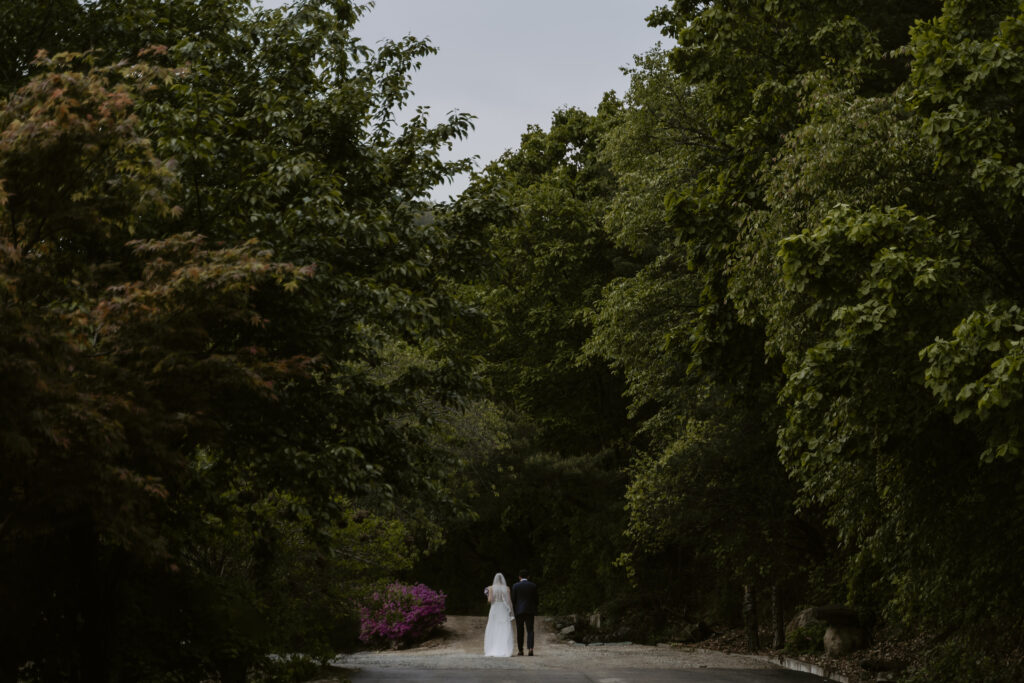 A bride and groom standing on a road in the woods in Korea.