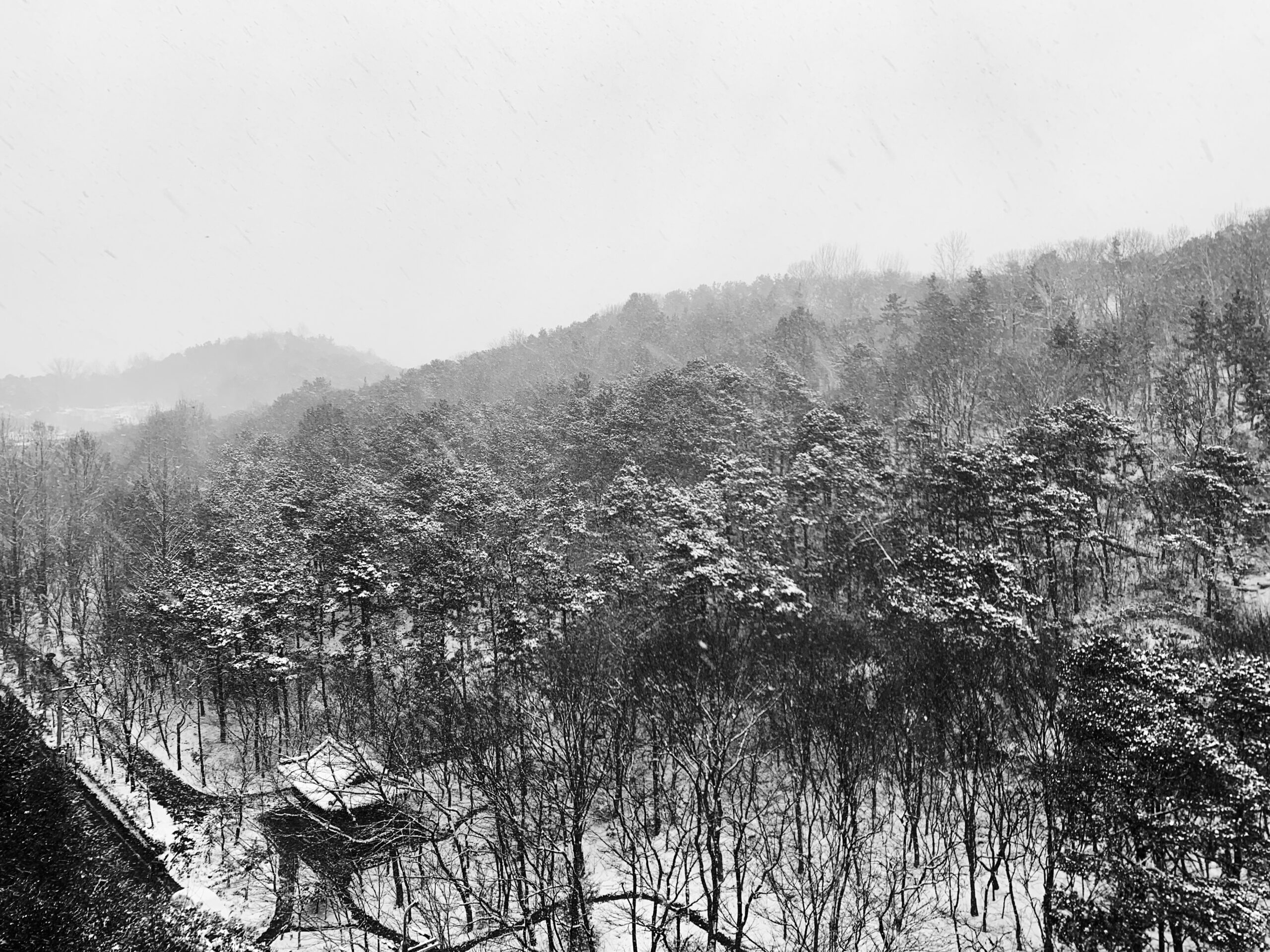 A black and white photo capturing the chilly winter season in Korea.