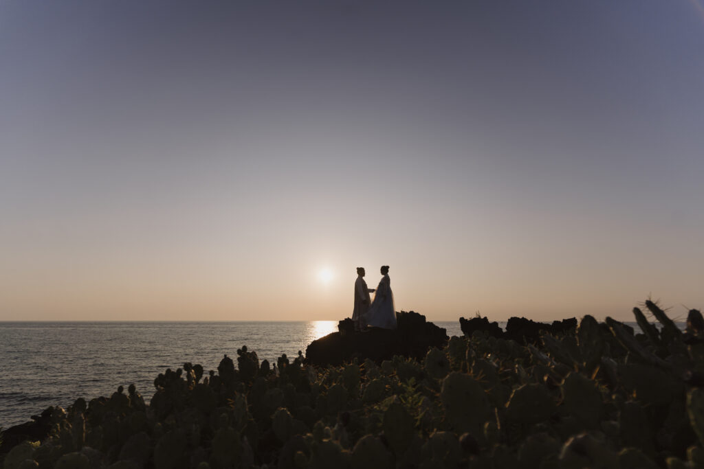 A bride and groom standing on a cliff overlooking the ocean.