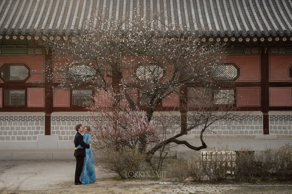 A couple embraces under a blooming tree in front of a traditional Korean building, capturing the romance and tradition of how to get married in Korea.