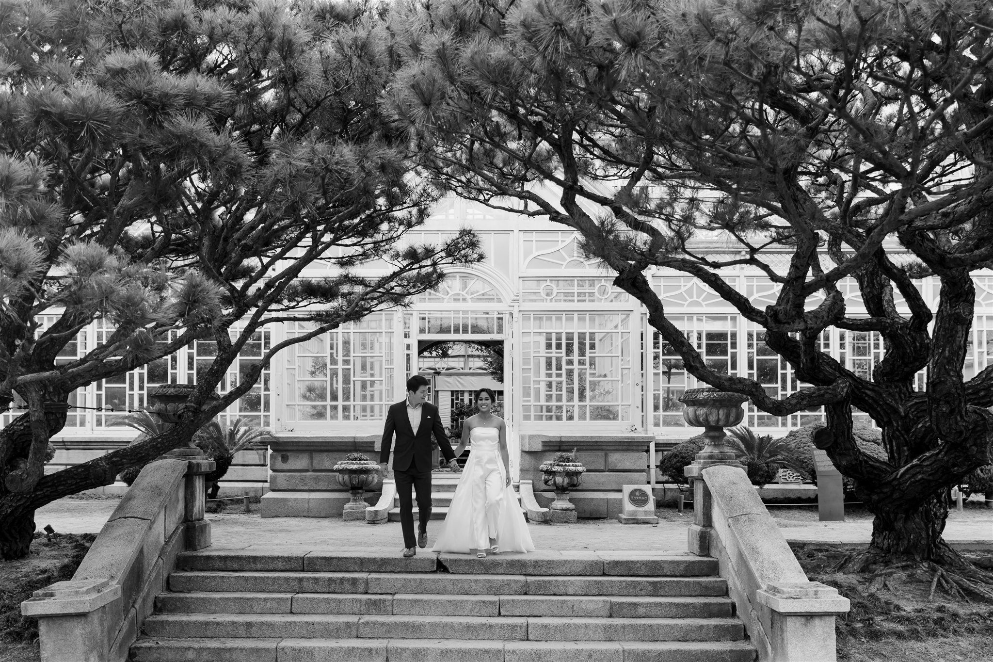 A bride and groom walk down stone steps outside a glass conservatory, framed by two large, arching trees—capturing the elegance of a pre wedding photoshoot in Korea.