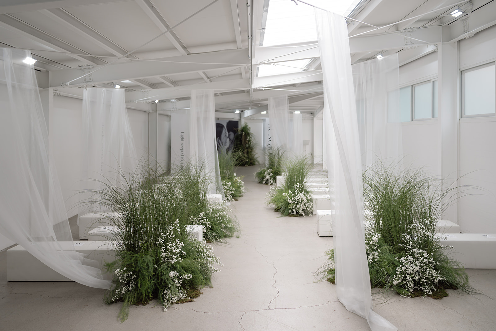 A minimalist indoor event space with white benches, sheer white drapes, and green plants with white flowers arranged along a central aisle.