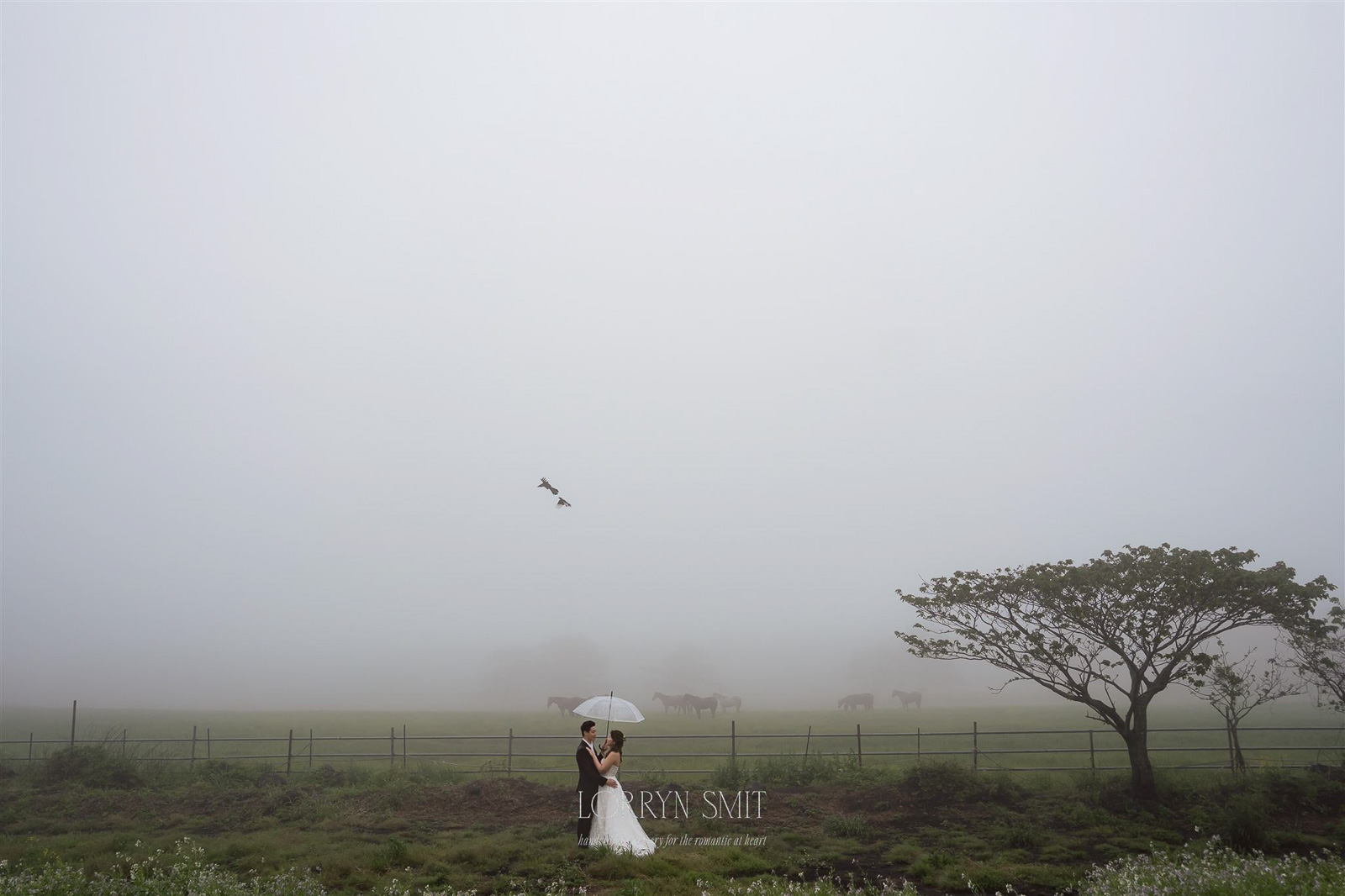 A bride and groom stand under an umbrella in a foggy field, with horses grazing in the background and birds flying overhead.